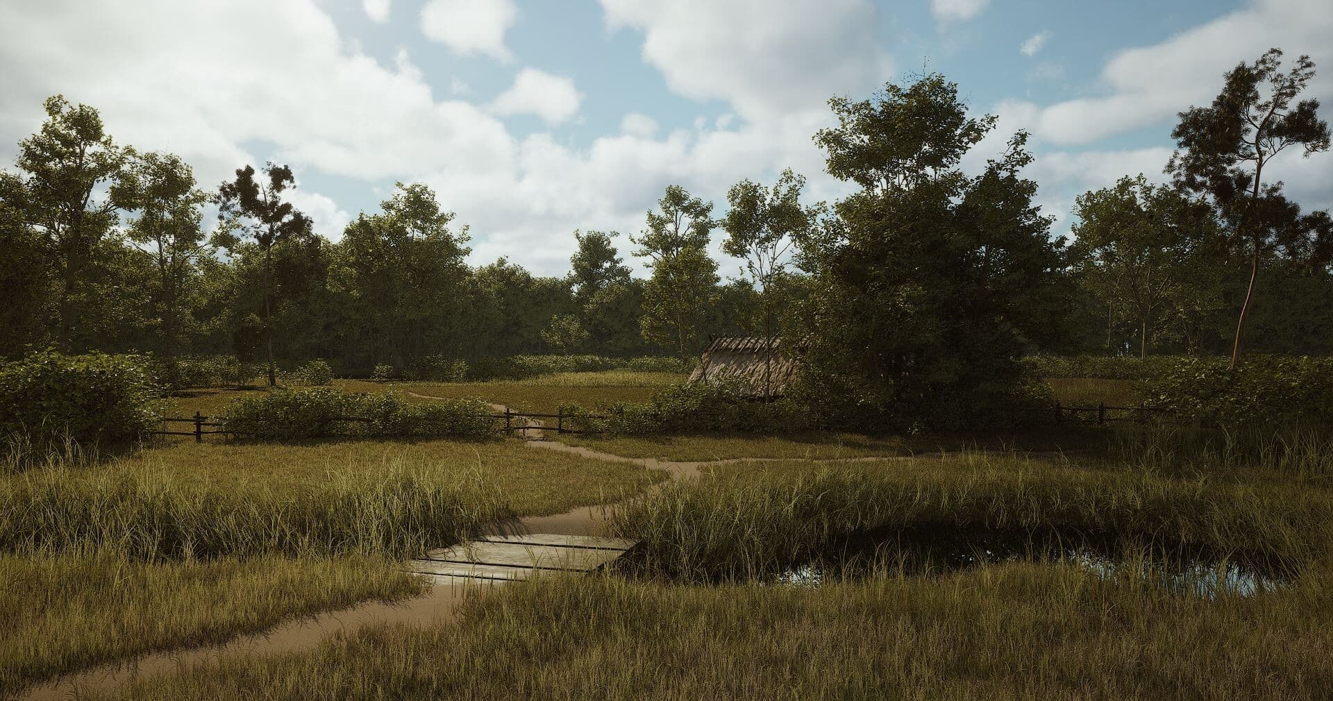 Environmental vignette