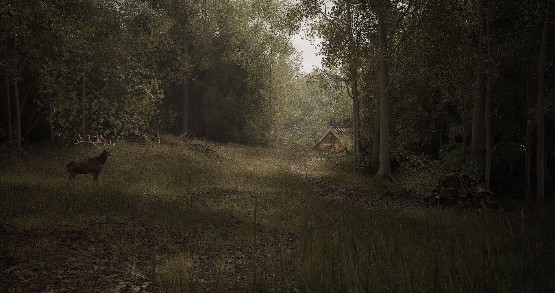 Stunning photorealistic landscape showcasing Unreal Engine 5's Lumen and Nanite technology