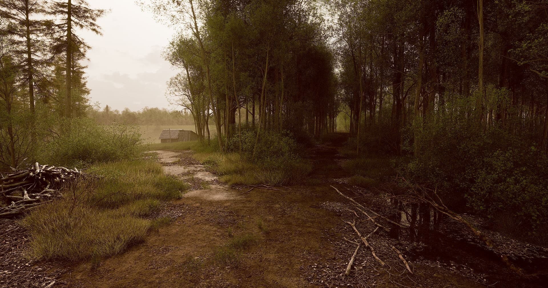 Environmental detail showcasing realistic lighting and textures